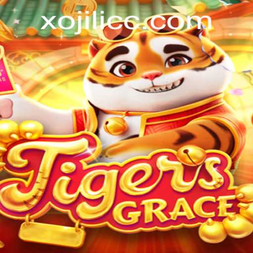Discovering TigersGrace: An Immersive Gaming Experience with Xojili Elements